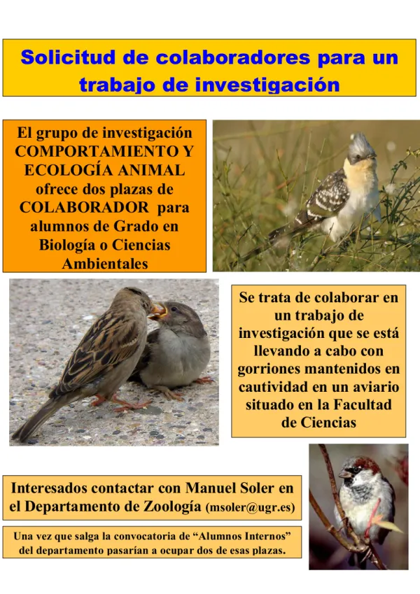 Solicitud de colaboradores para un trabajo de investigación