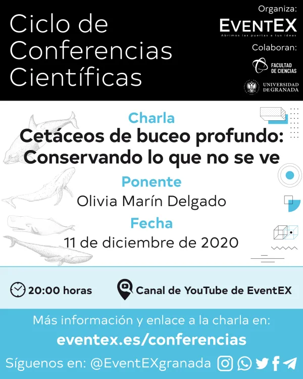 Charla "Cetáceos de buceo profundo: Conservando lo que no se ve"