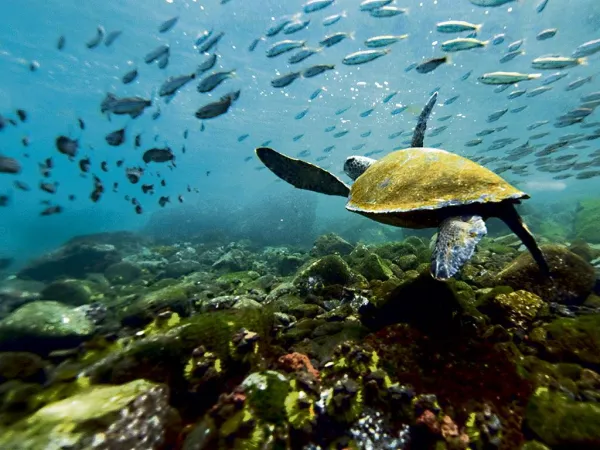 Charla coloquio "Galápagos: Las Islas que Cambiaron el Mundo"