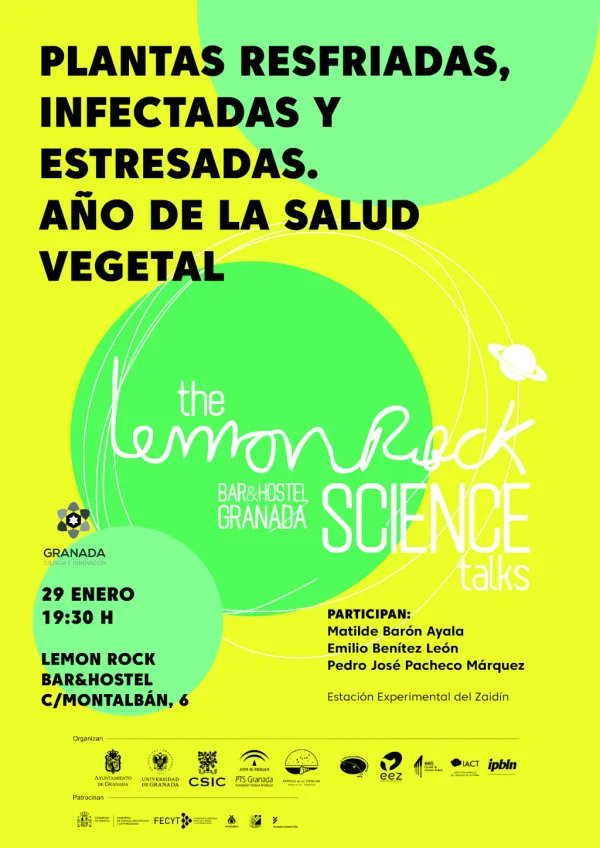 Plantas resfriadas, infectadas y estresadas. Año de la Salud Vegetal