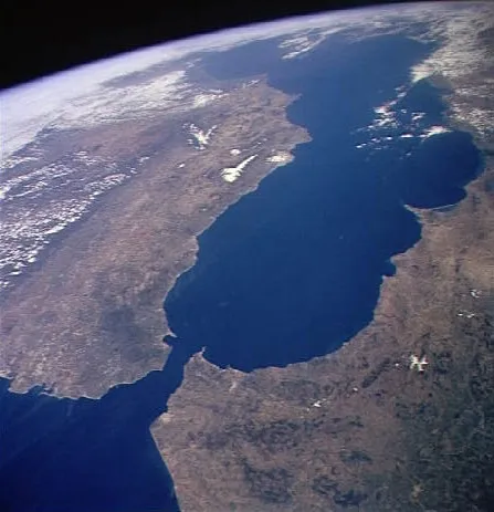 El Estrecho de Gibraltar como crisol biológico: biodiversidad atrapada entre dos continentes