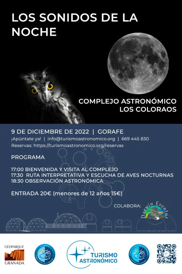 Los sonidos de la noche