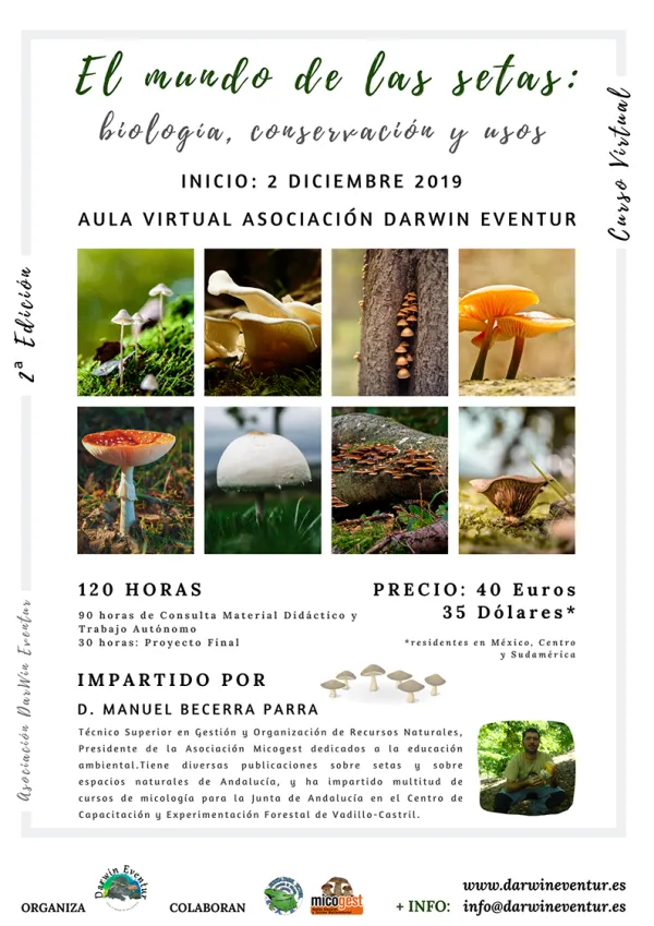 Curso el mundo de las setas: biología, conservación, y usos 2ª edición virtual