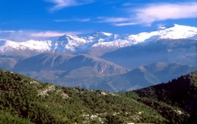 XXV Curso de Flora y Vegetación de Sierra Nevada: Biodiversidad y Conservación 