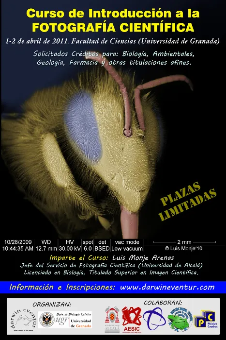 Curso "Introducción a la Fotografía Científica"
