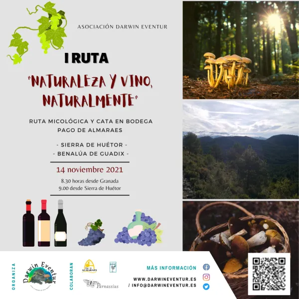 I ruta "Naturaleza y Vino, Naturalmente"