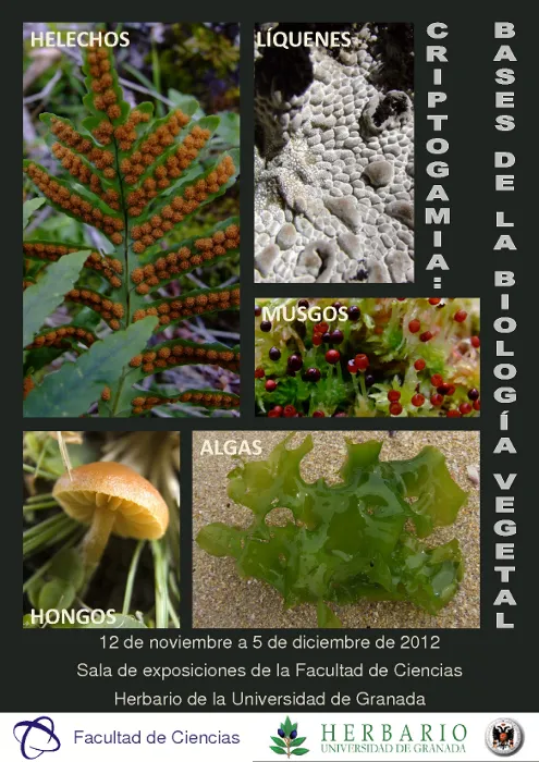 Exposición de Criptogamia: Bases de la Biología Vegetal