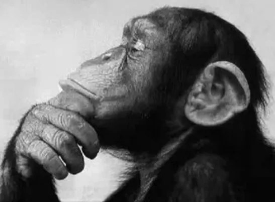 8ª semana temática de documentales: Curiosidades de la Ciencia