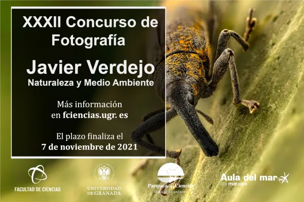 XXXII Concurso de Fotografía Javier Verdejo