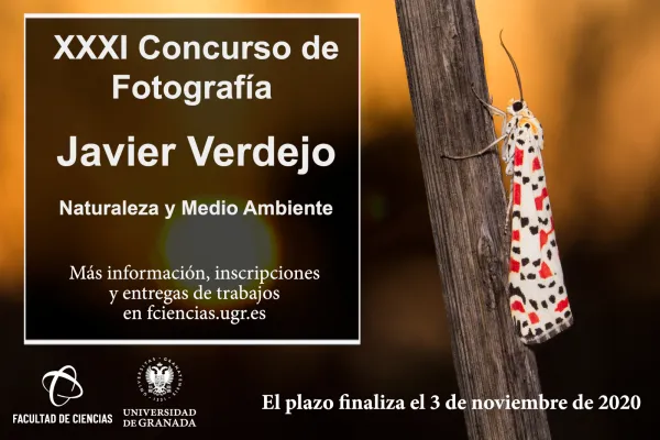 XXXI Concurso de Fotografía Javier Verdejo 