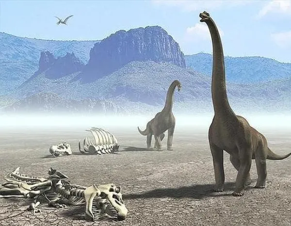 Investigaciones estructurales de proteínas intraminerales mediante cristalografía de rayos-x. Implicaciones en la extinción de los dinosaurios