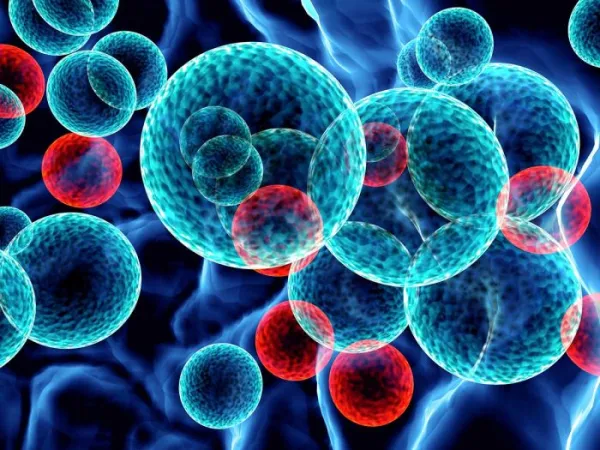 Preparación de nanopartículas recubiertas por membranas celulares como aplicación terapéutica al cáncer de mama