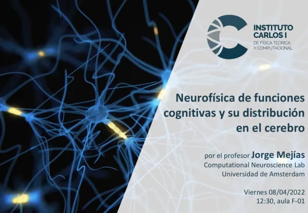 Neurofísica de funciones cognitivas y su distribución en el cerebro