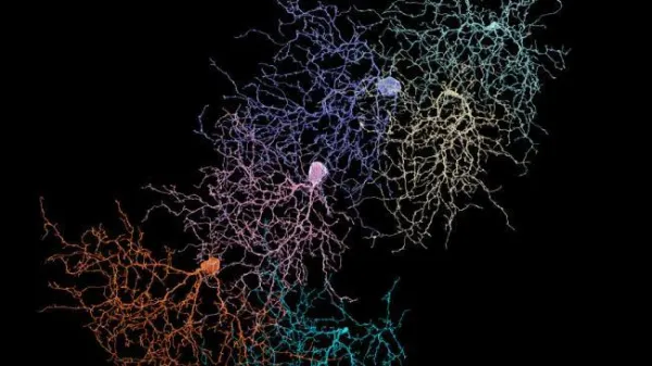 Restablecimiento de interconexiones neuronales asistida por materiales nanoestructurados derivados de grafeno