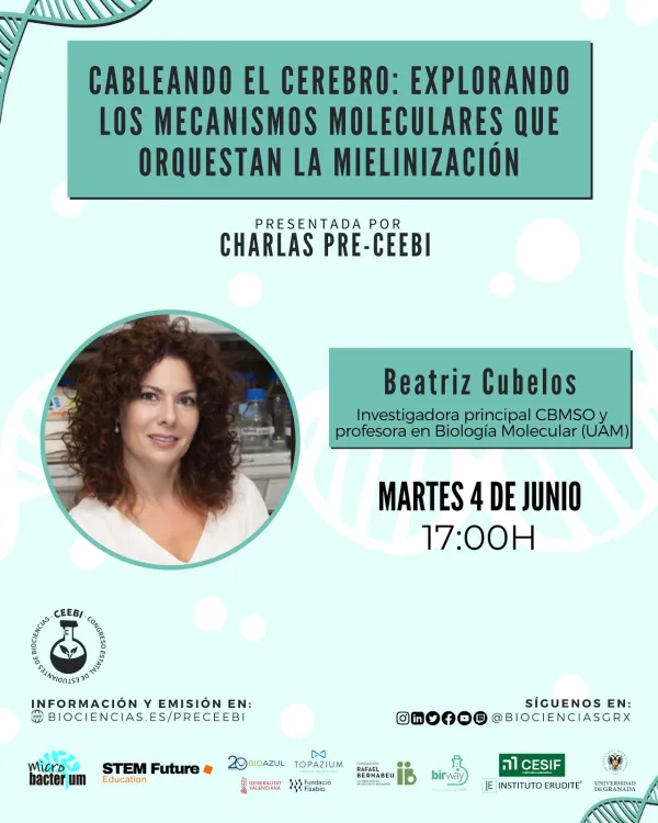 Cableando el cerebro: explorando los mecanismos moleculares que orquestan la mielinización