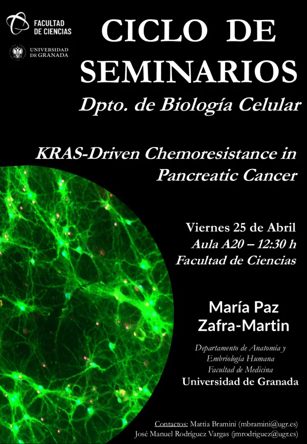 KRAS-Driven Chemoresistance in Pancreatic Cancer