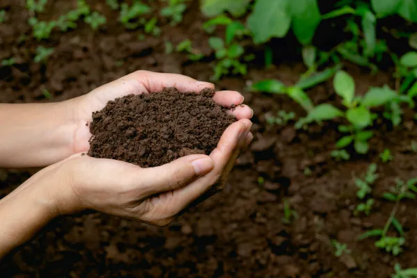 Personalized Medicine for Healthy Soils