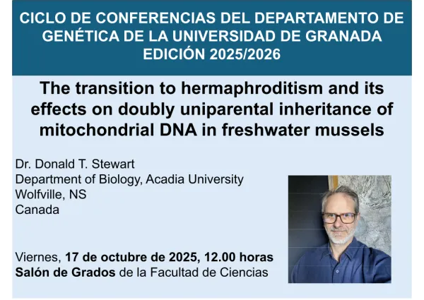 The transition to hermaphroditism and its effects on doubly uniparental inheritance of mitochondrial DNA in freshwater mussels