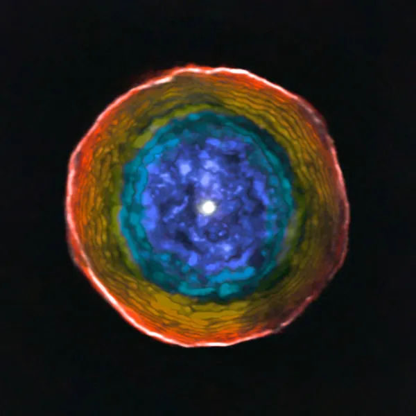 A Short History of Nuclear Astrophysics: The Origin of the Chemical Element