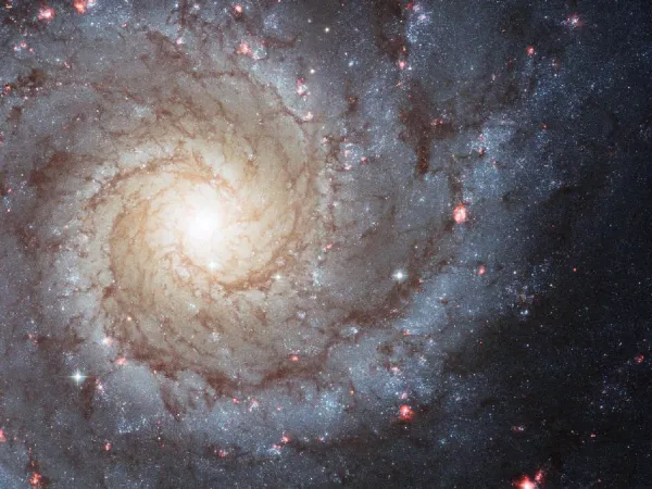 Bursts of star formation in the central regions of galaxies as seen with radio glasses