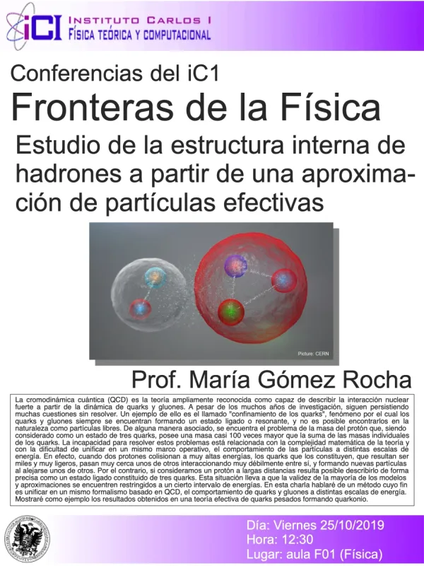Estudio de la estructura interna de hadrones a partir de una aproximación de partículas efectivas