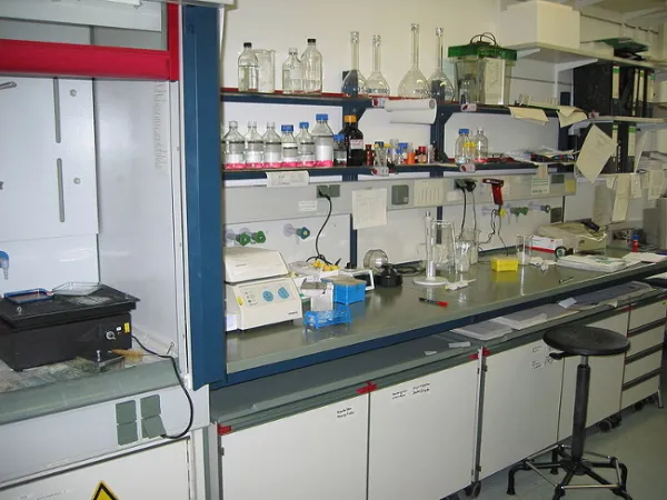 Laboratorio de ecología del CEAMA (iEcolab): Conocer para conservar