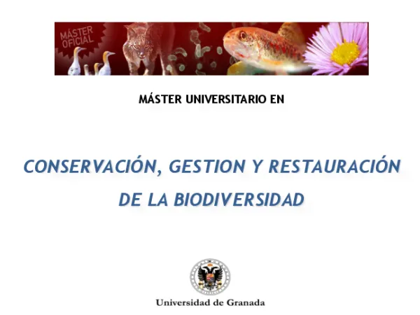 Un marco ecosistémico para la biodiversidad