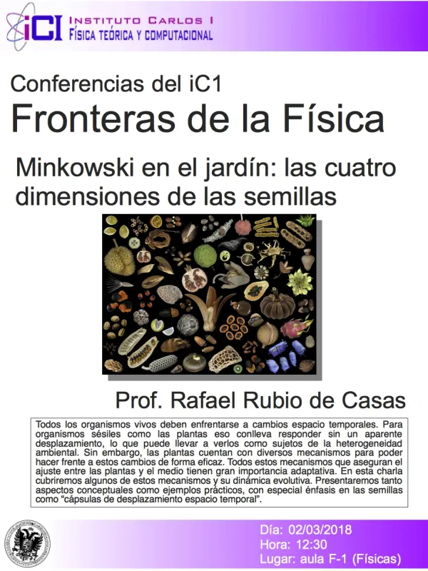 Minkowski en el jardín: las cuatro dimensiones de las semillas