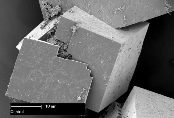 From porous metal-organic frameworks to metal-organic polyhedra: a journey in miniaturization