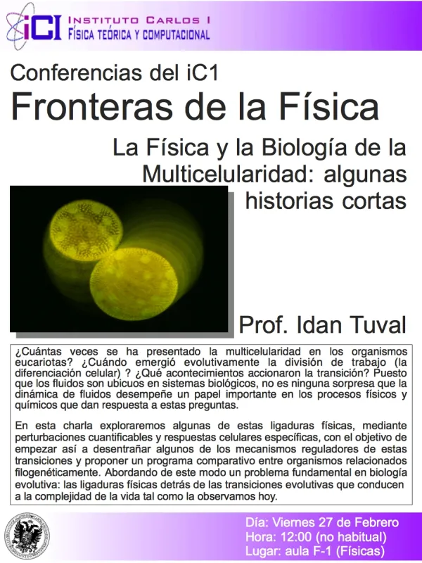 La Física y la Biología de la Multicelularidad: algunas historias cortas