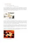 Taller de weiqi (Go)