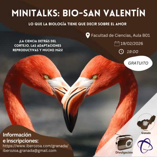 Minitalks: Bio-San Valentín