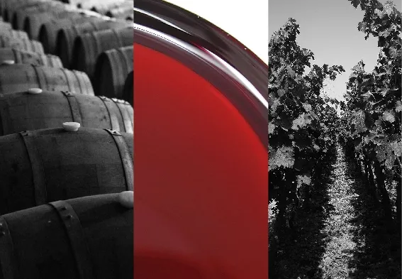 Rutas enológicas.  Vinos de Granada