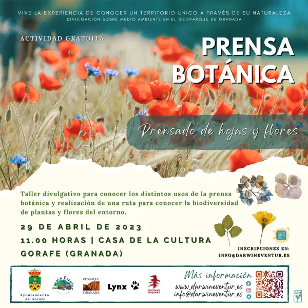 Prensa Botánica: prensado de hojas y flores
