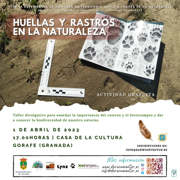 Taller "Huellas y rastros en la naturaleza"