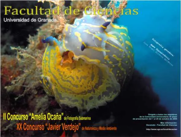XX Concurso de fotografía Javier Verdejo - II Concurso de Fotografía Submarina Amelia Ocaña
