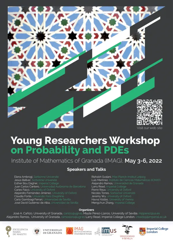 Young Researchers Workshop on Probability and PDEs